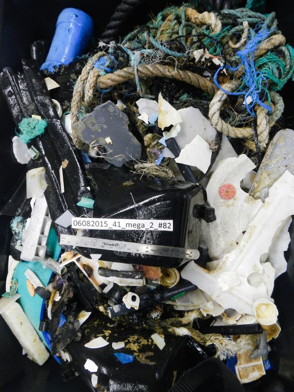 Plastic samples collected during the Mega Expedition, 2015.