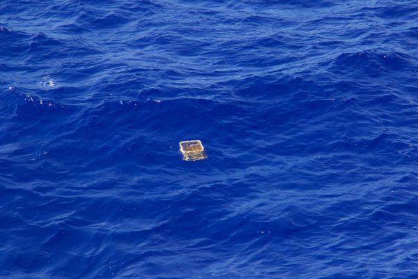 Mega debris (crate) in the Great Pacific Garbage Patch.