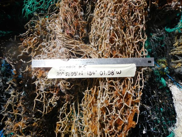 Ghost nets recovered with R/V Ocean Starr, the Mega Expedition mothership.