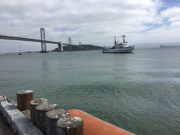 Arrival of the Mega Expedition mothership R/V Ocean Starr in San Francisco on August 23, 2015.