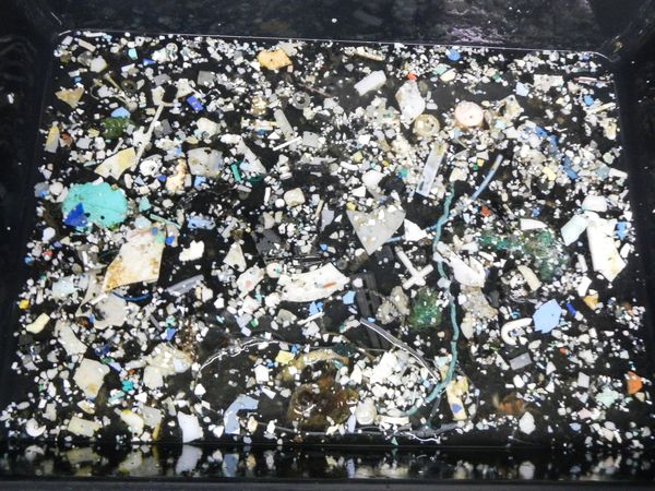 Plastic samples collected during The Ocean Cleanup’s Mega Expedition, 2015.