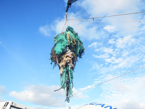 Ghost net lifted aboard the Mega Expedition mothership R/V Ocean Starr, 2015.