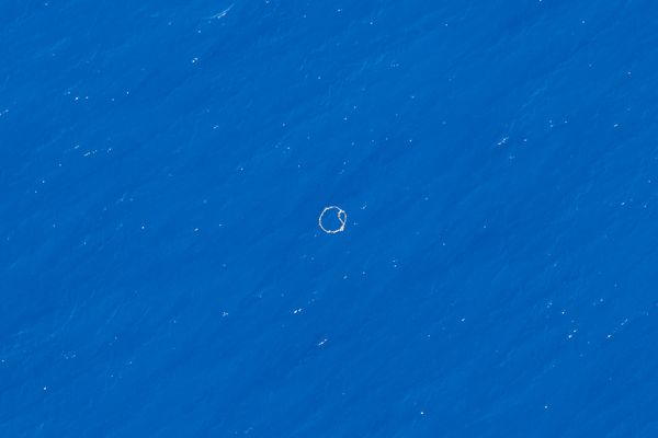 Aerial view of a Ghost net in the Great Pacific Garbage Patch