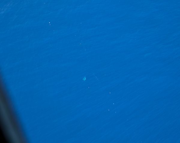 Multiple debris in the Great Pacific Garbage Patch, spotted during Aerial Expedition flight number 1 by Chandra Salgado Kent from port side of Ocean Force One