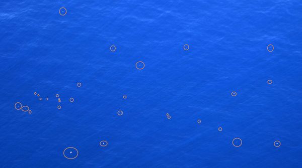 Ocean debris concentration as observed in the Great Pacific Garbage Patch during the Aerial Expedition